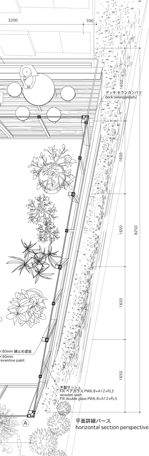anatomy3