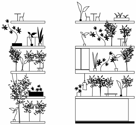 dezeen_Garden-and-House-by-Ryue-Nishizawa_elevation