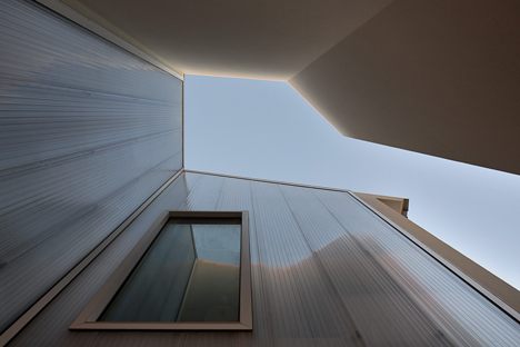 Flower-House-by-Ezzo-architects_dezeen_18