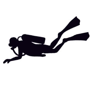 planzine.